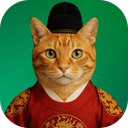 Catsle icon