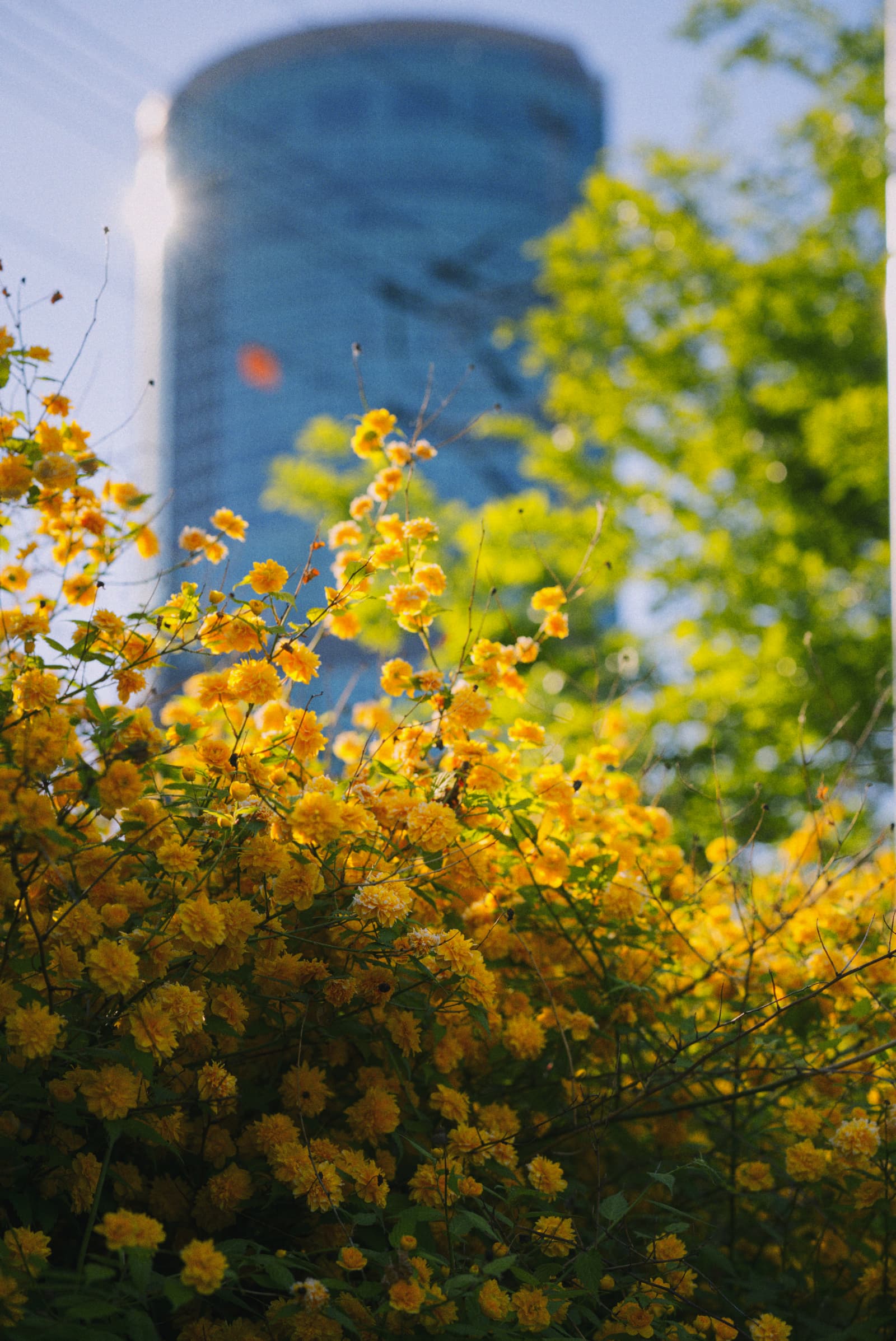 Receipt mark on the photograph our friends saw first