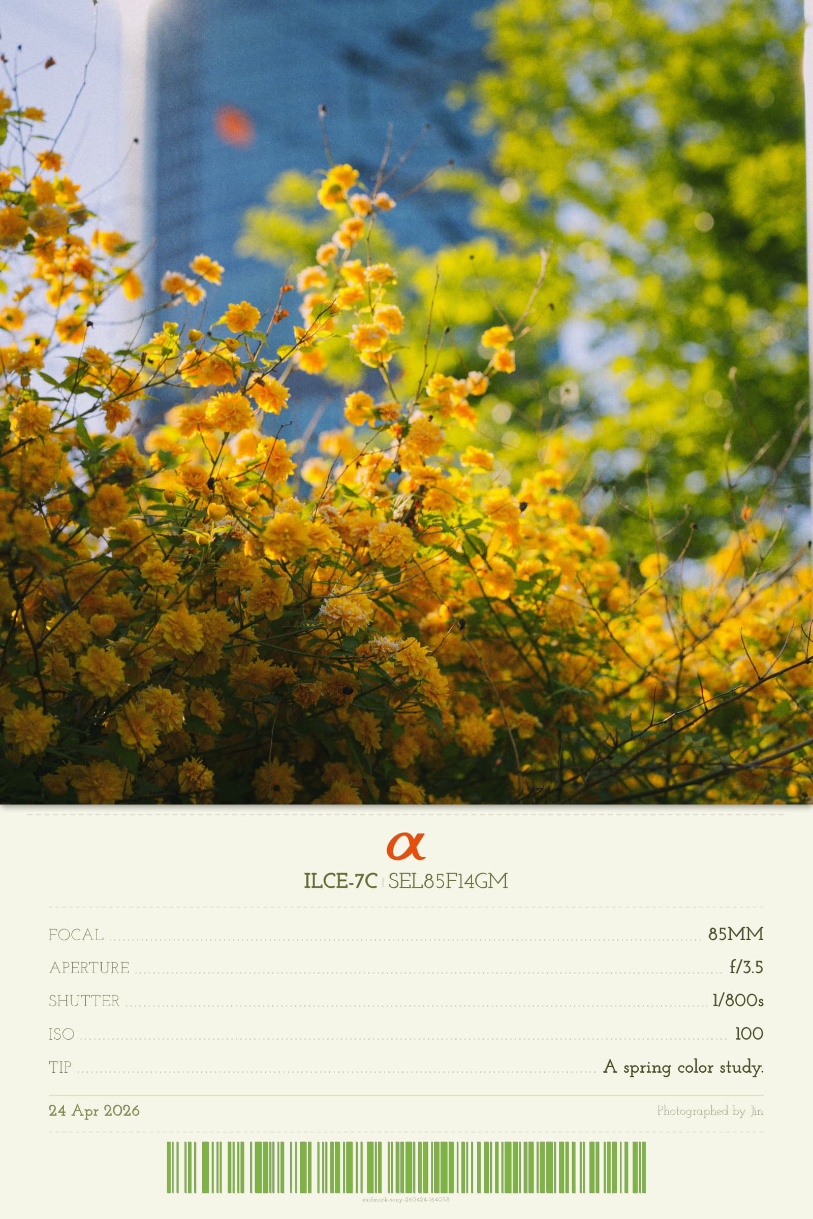 Receipt mark on the photograph that came right after