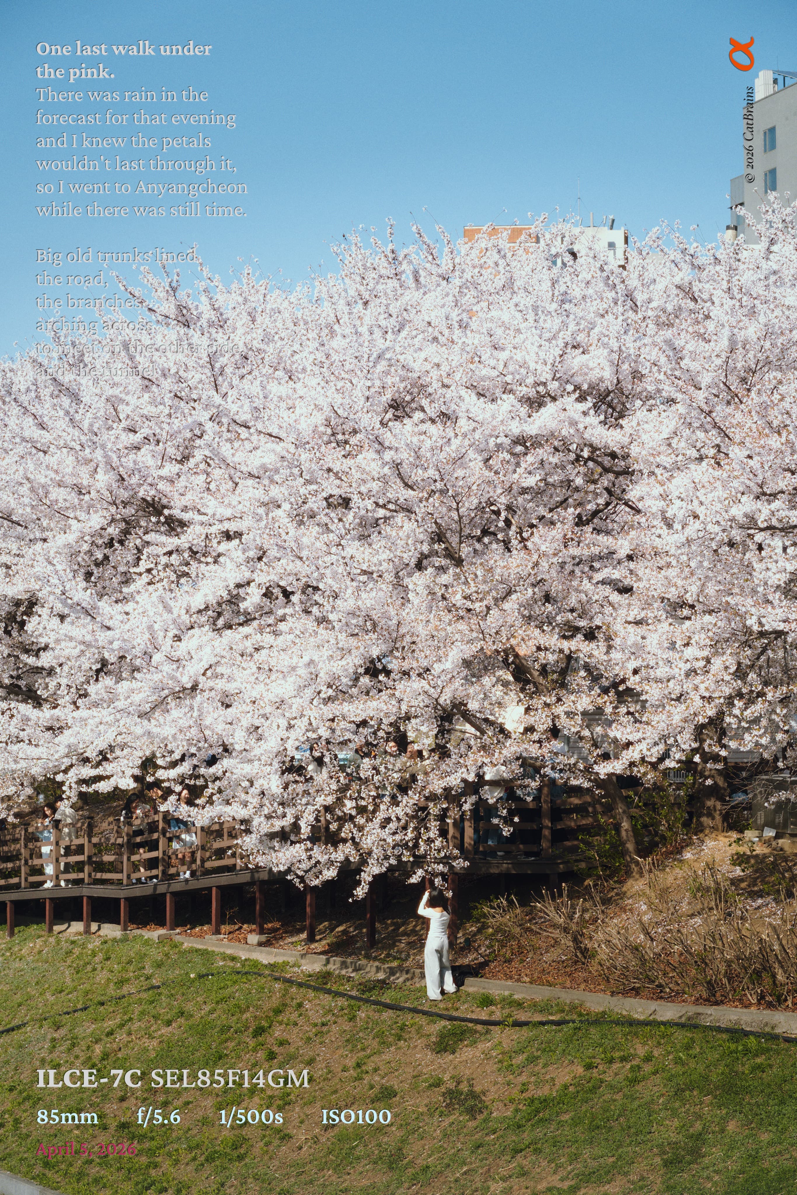 Catalog Mark applied to a photograph