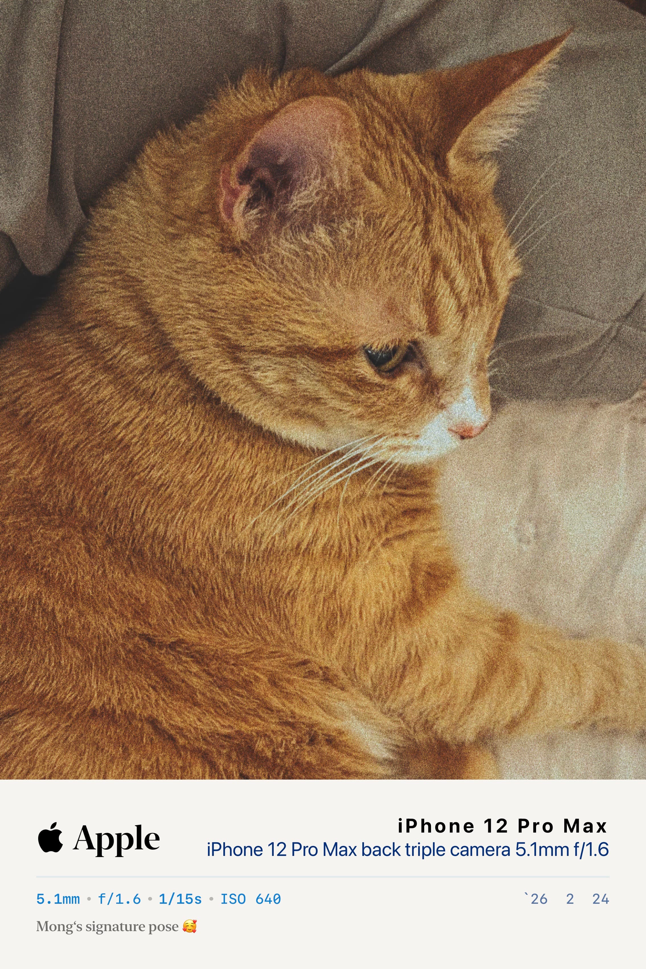 Editorial Mark applied to a photograph