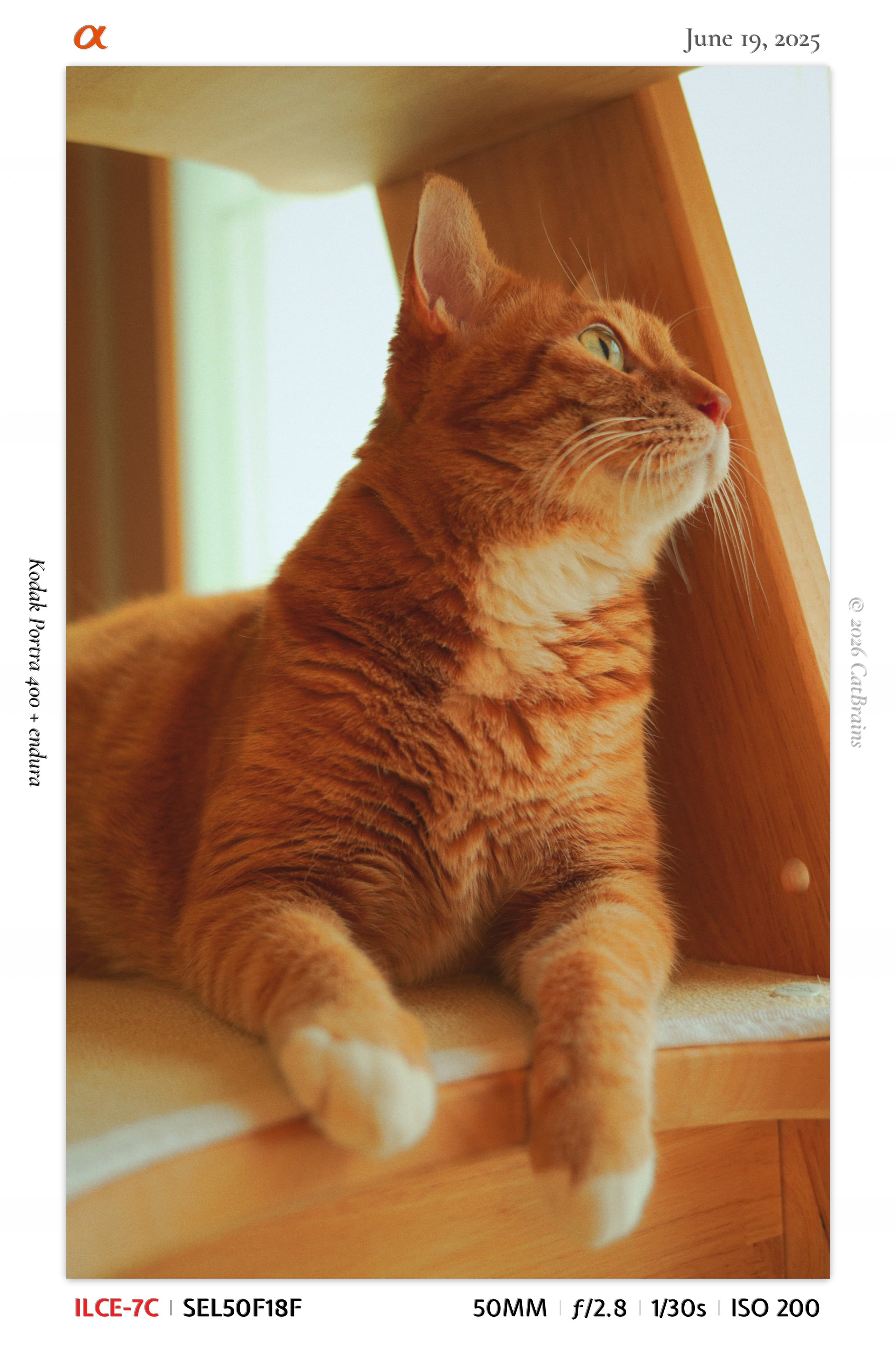 Framed Mark applied to a photograph