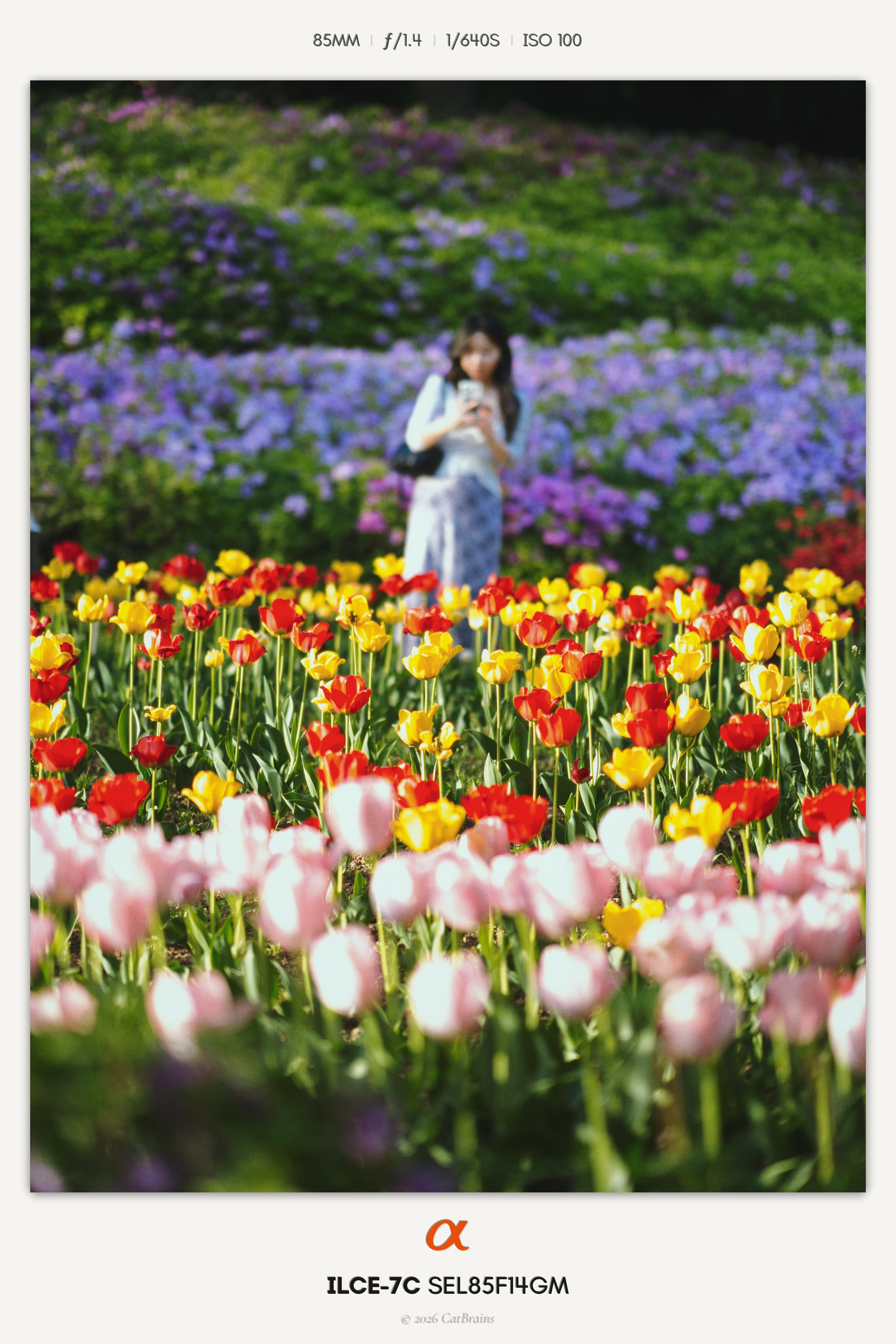 Instant Mark applied to a photograph