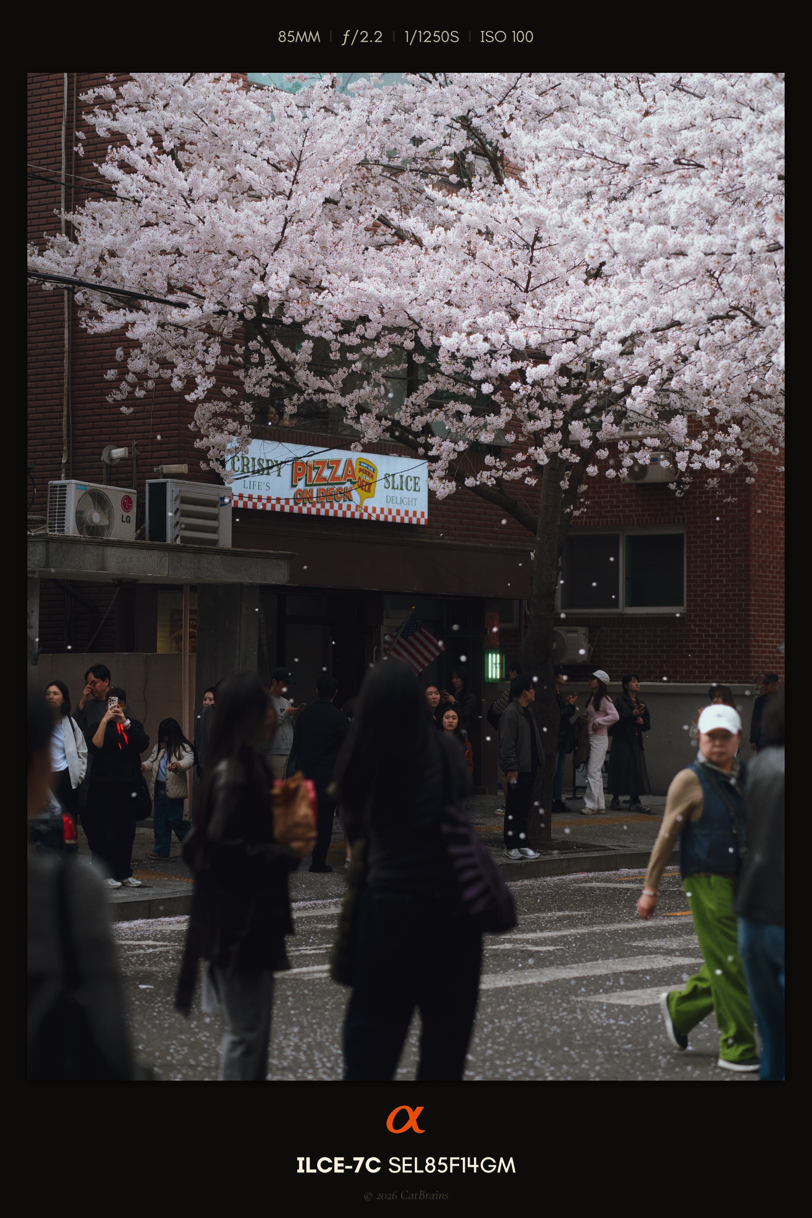 Instant Mark applied to a photograph