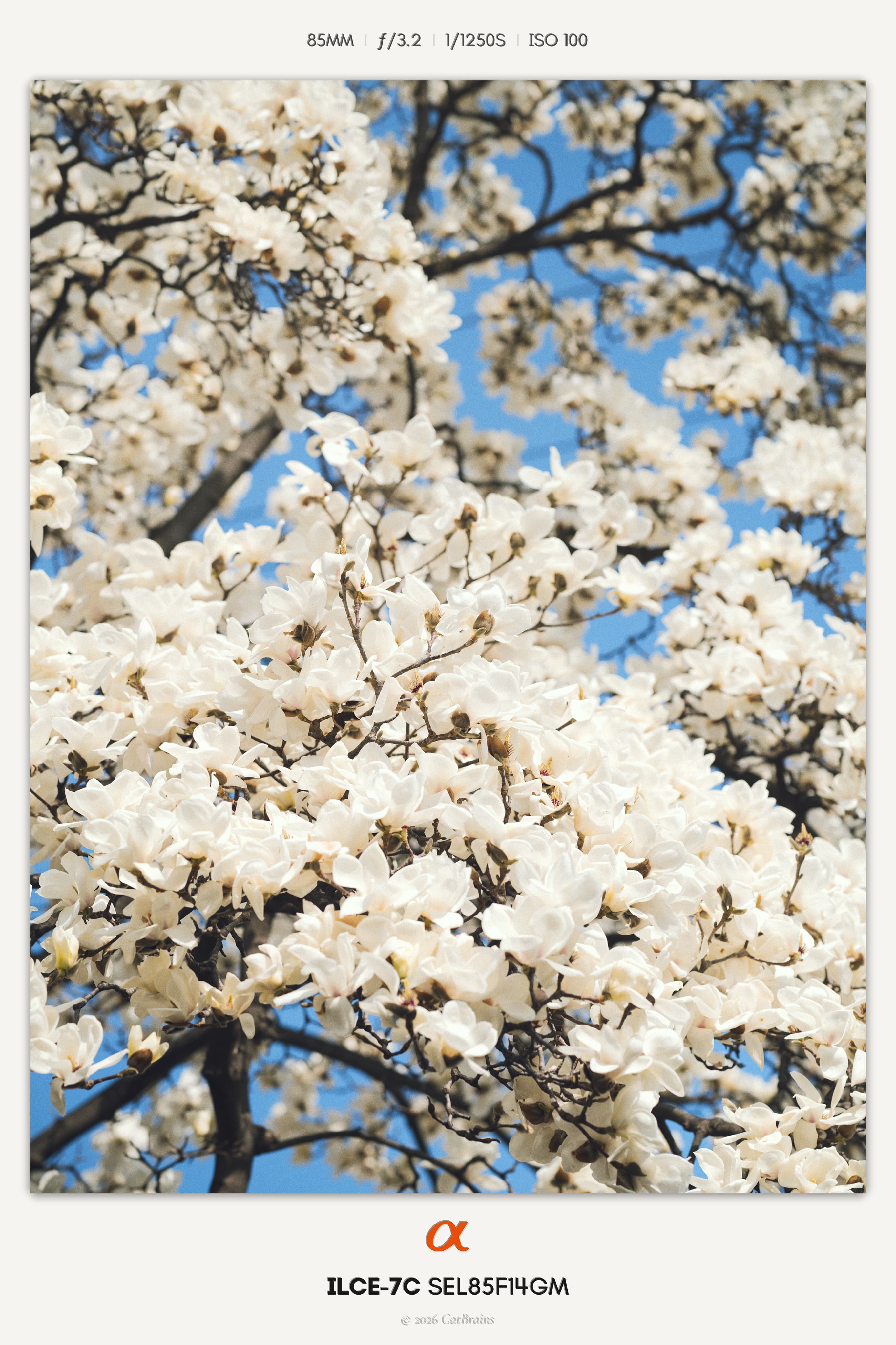 Instant Mark applied to a photograph