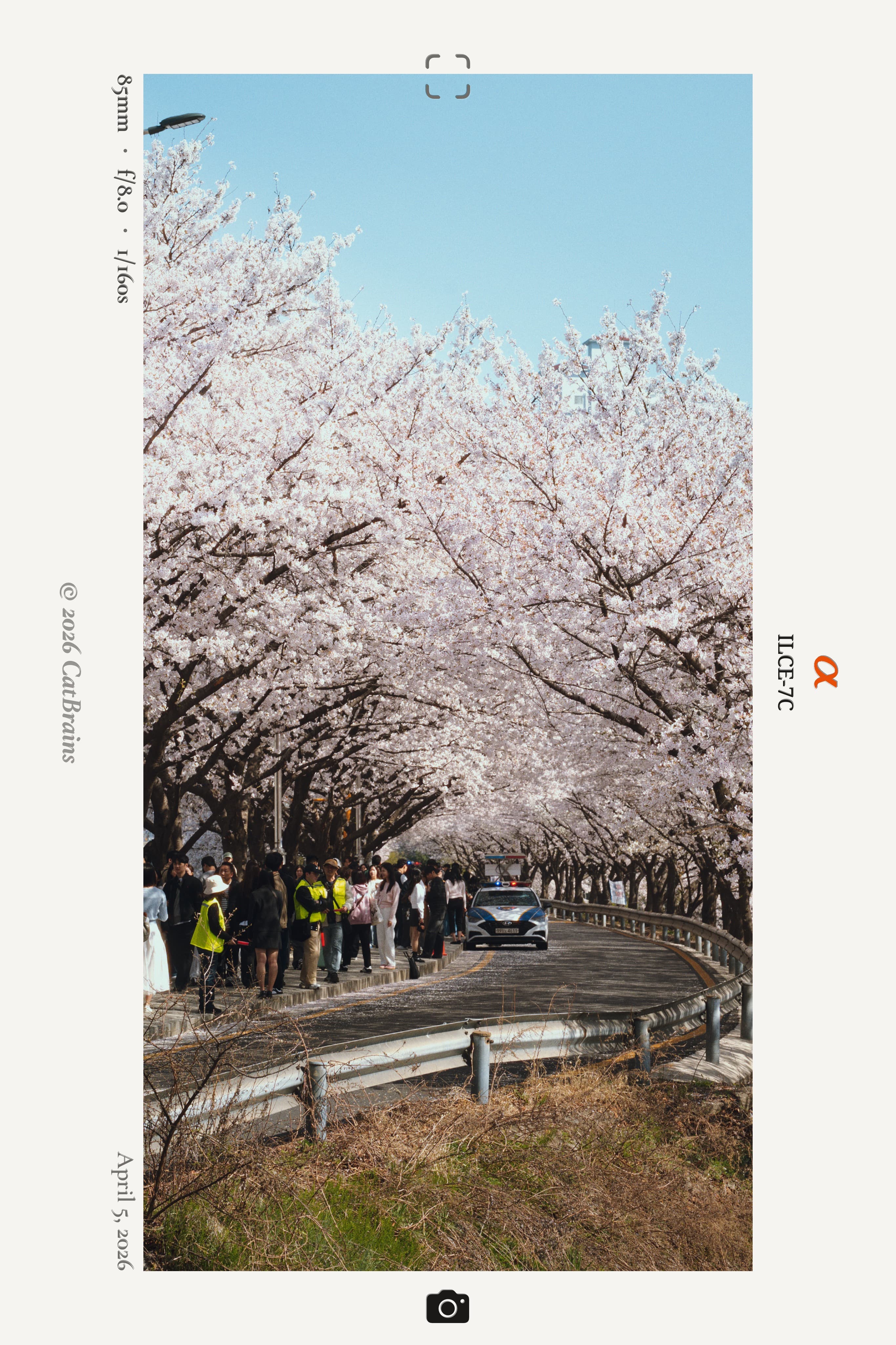 Lookbook Mark applied to a photograph