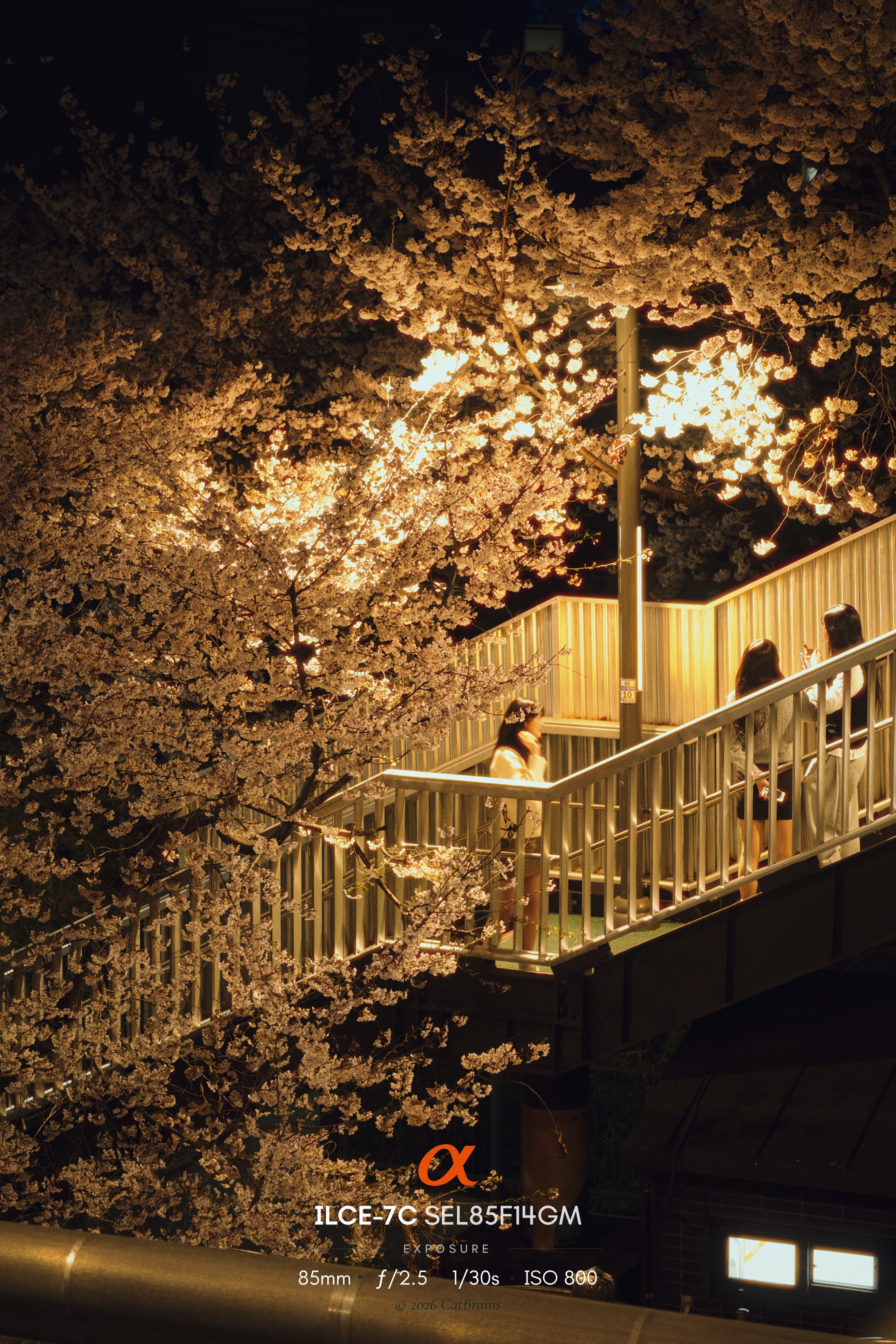 Marquee Mark applied to a photograph