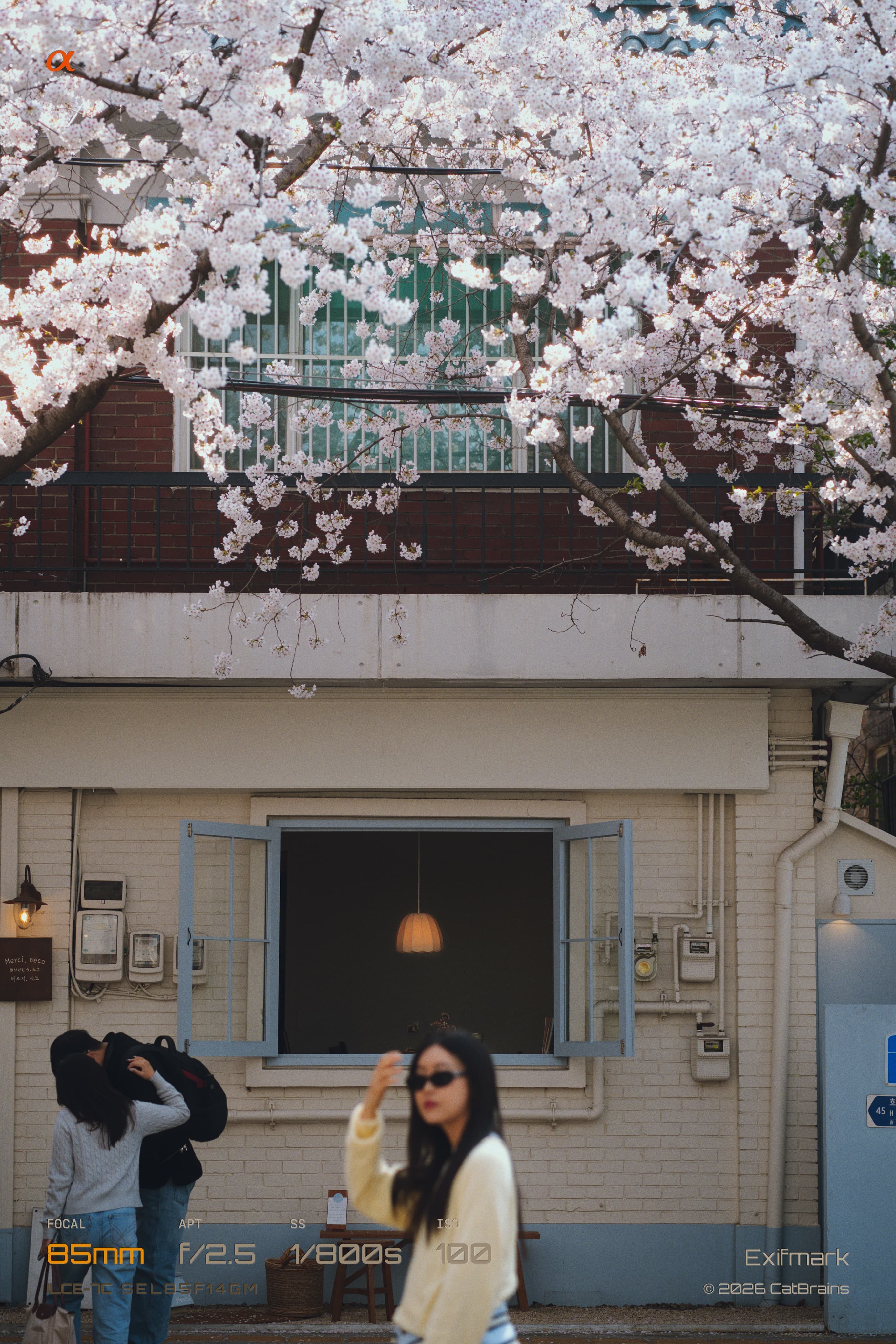 Orbit Mark applied to a photograph