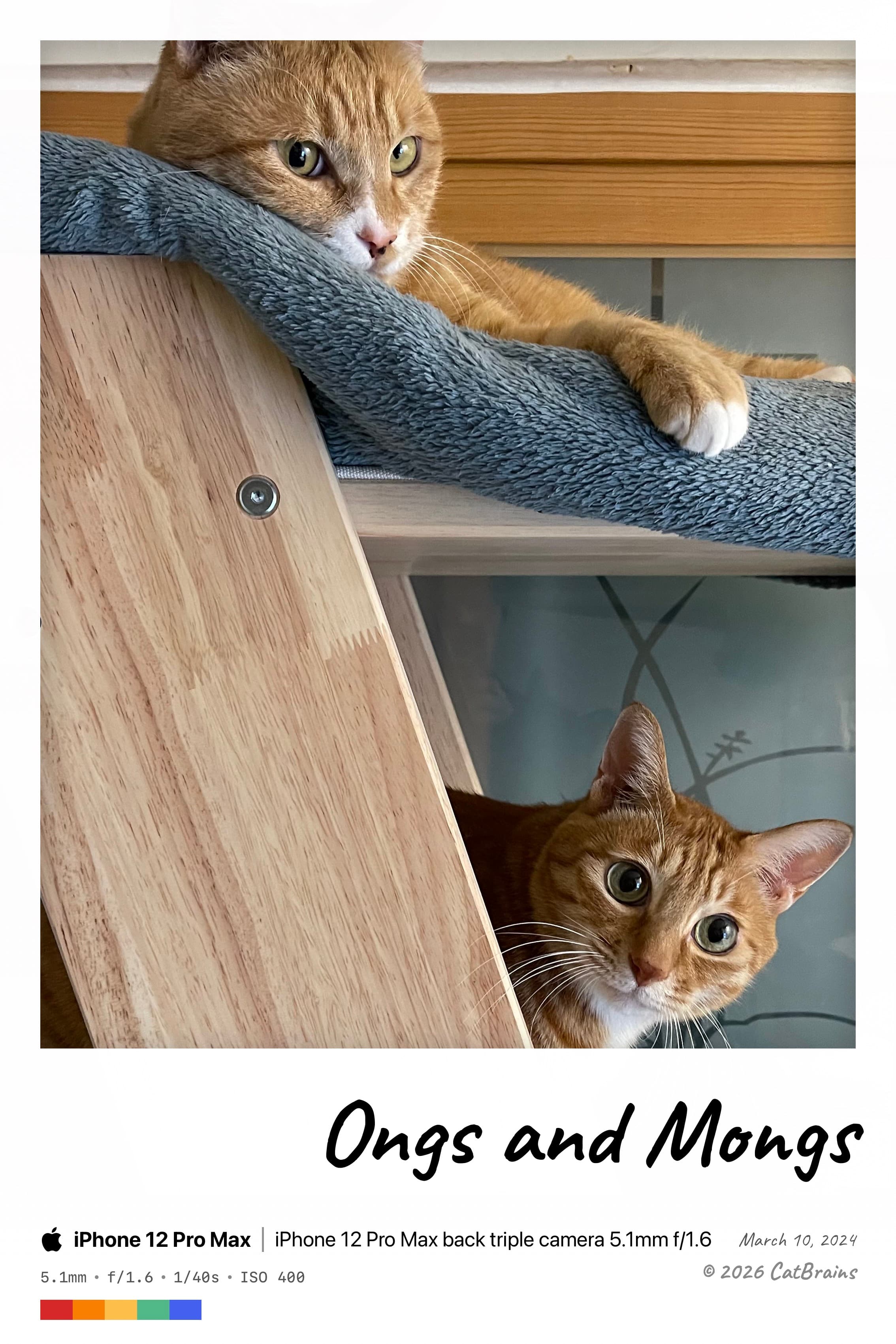 Polaroid SX-70 Mark applied to a photograph