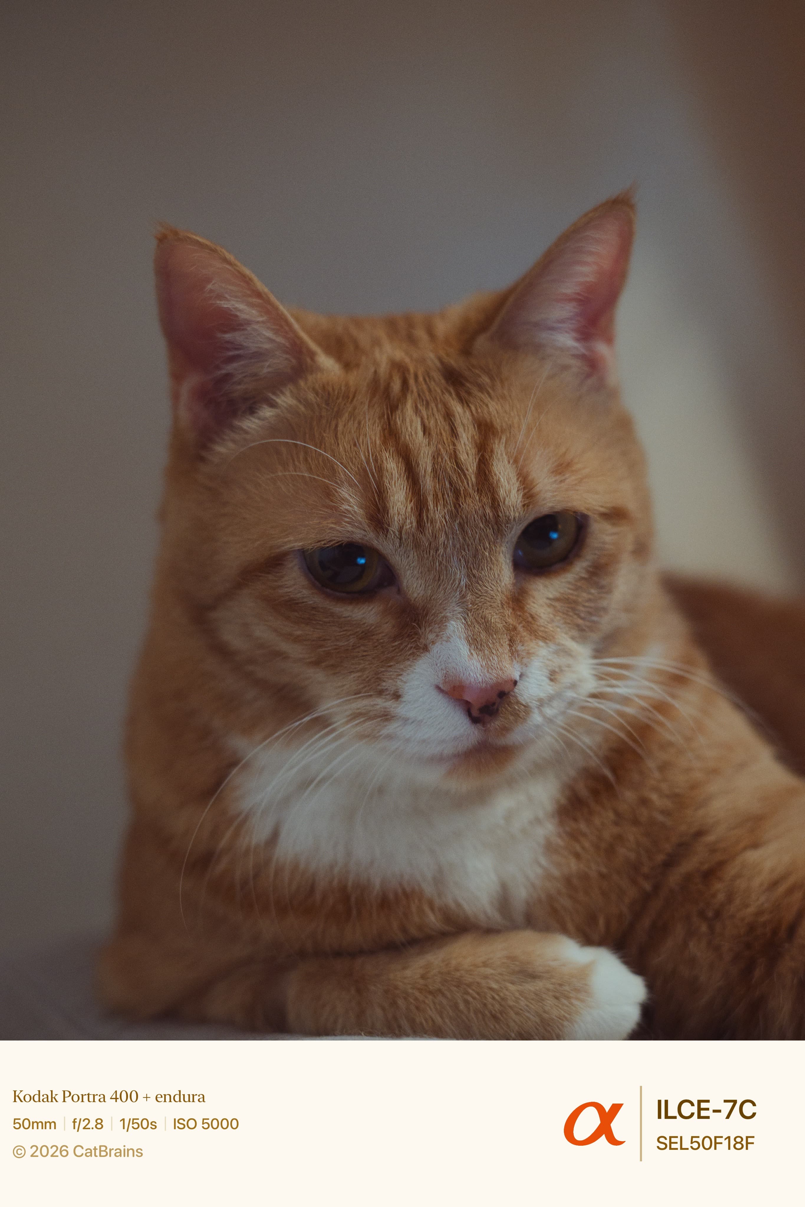 Signature Mark applied to a photograph