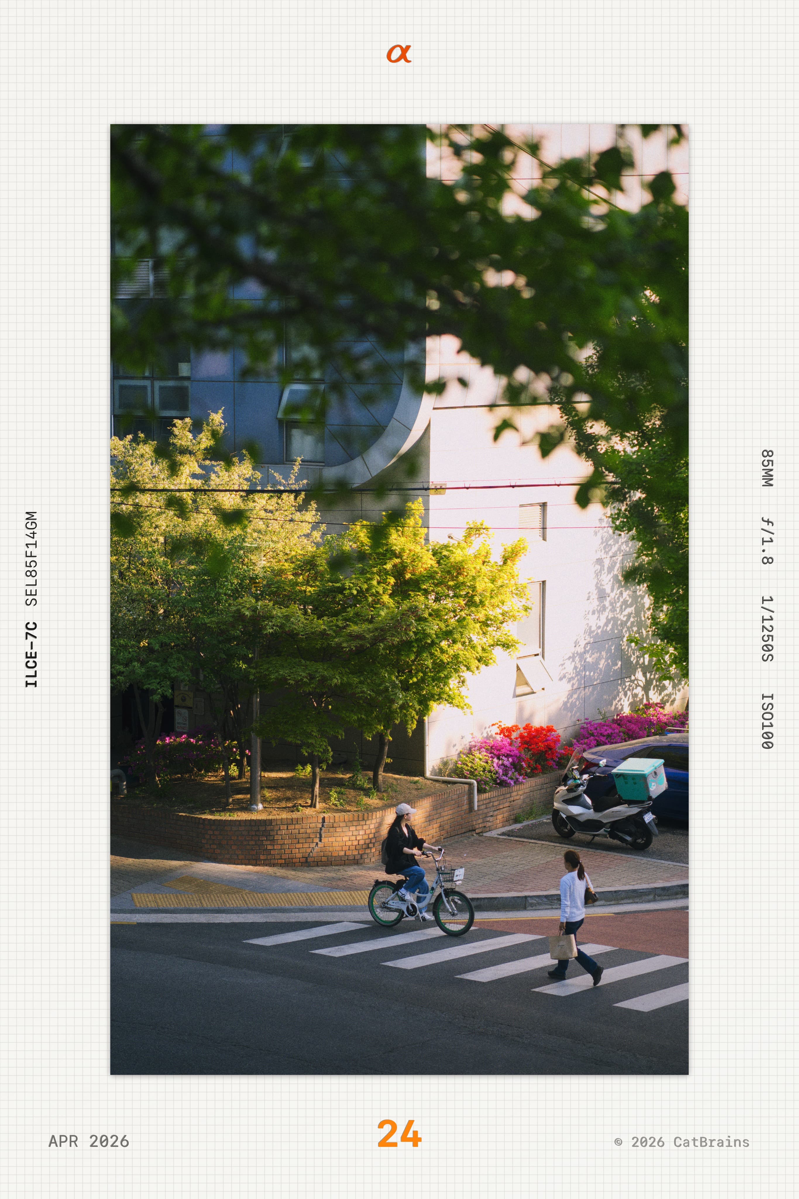 Slide Mark applied to a photograph