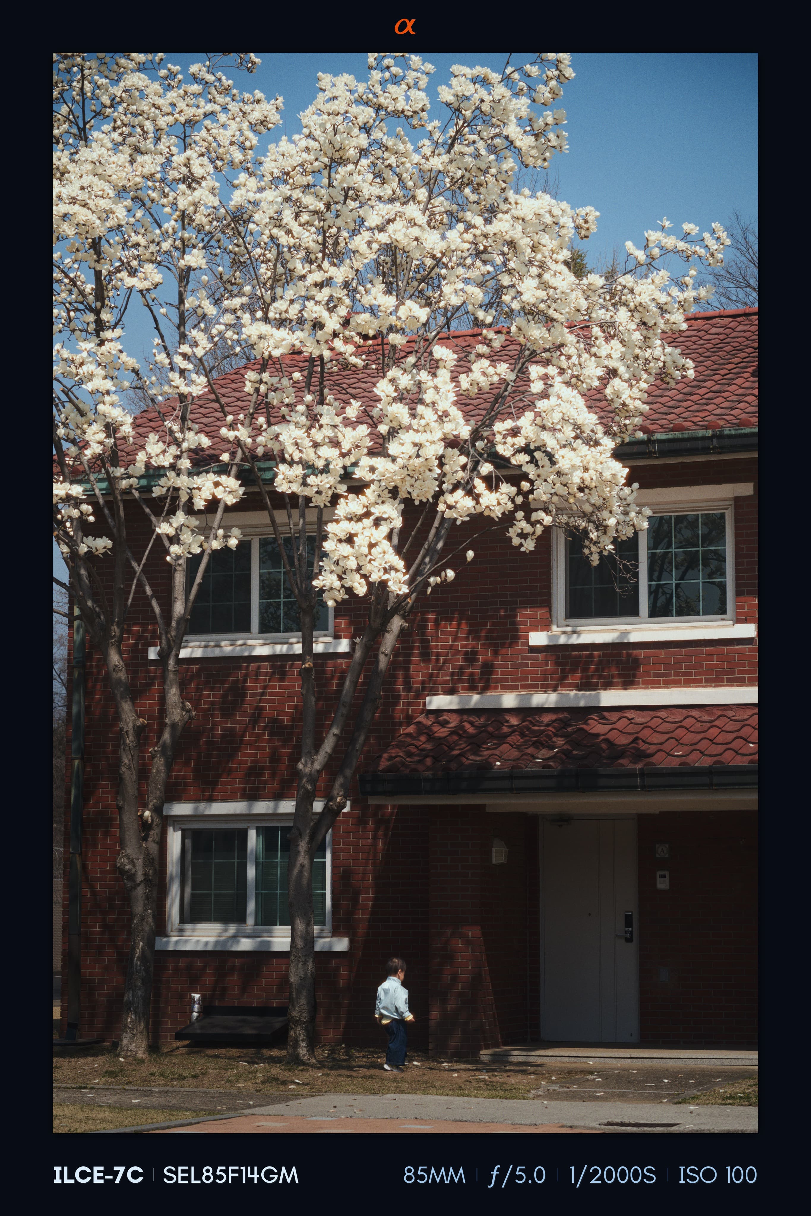 Studio Mark applied to a photograph