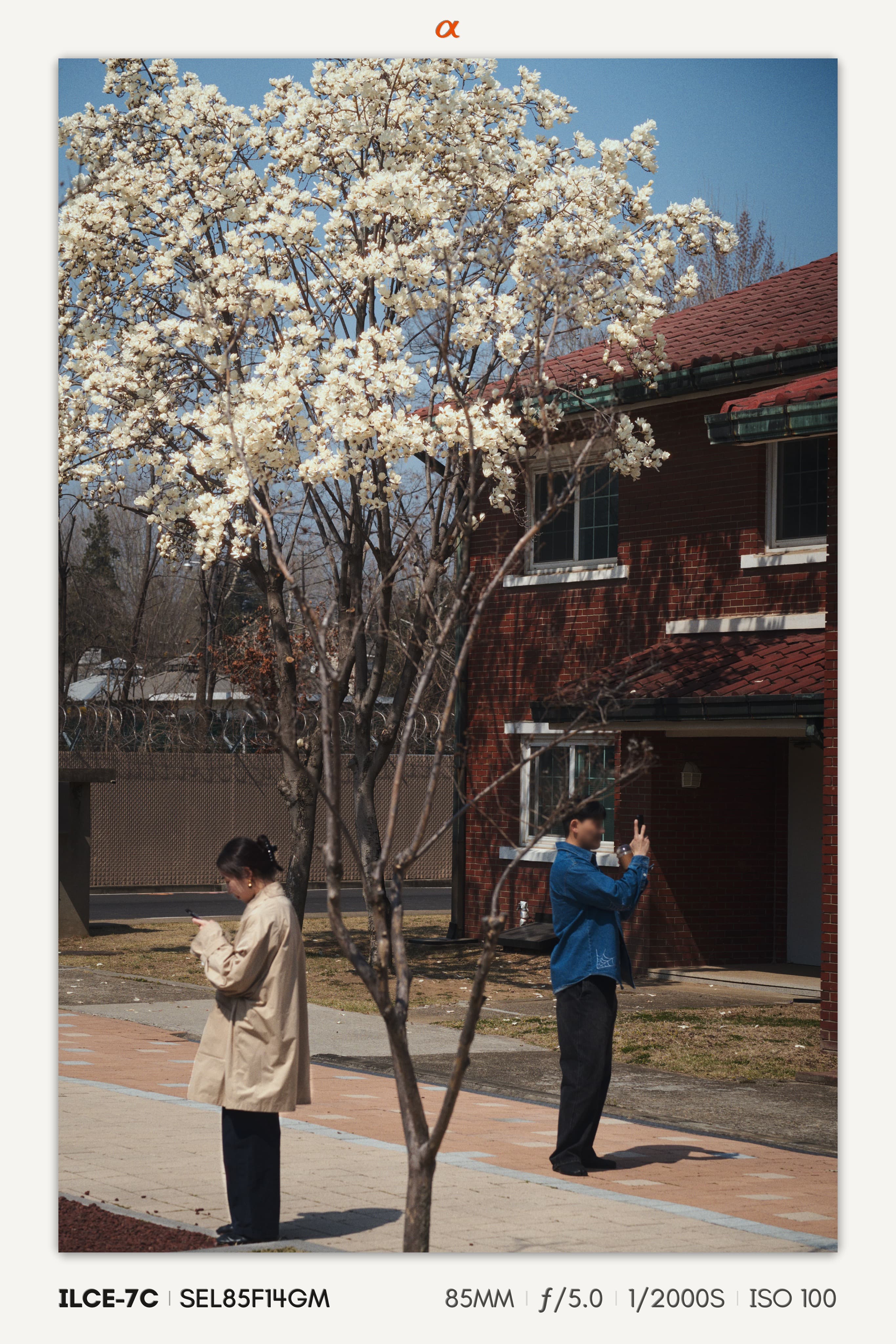 Studio Mark applied to a photograph