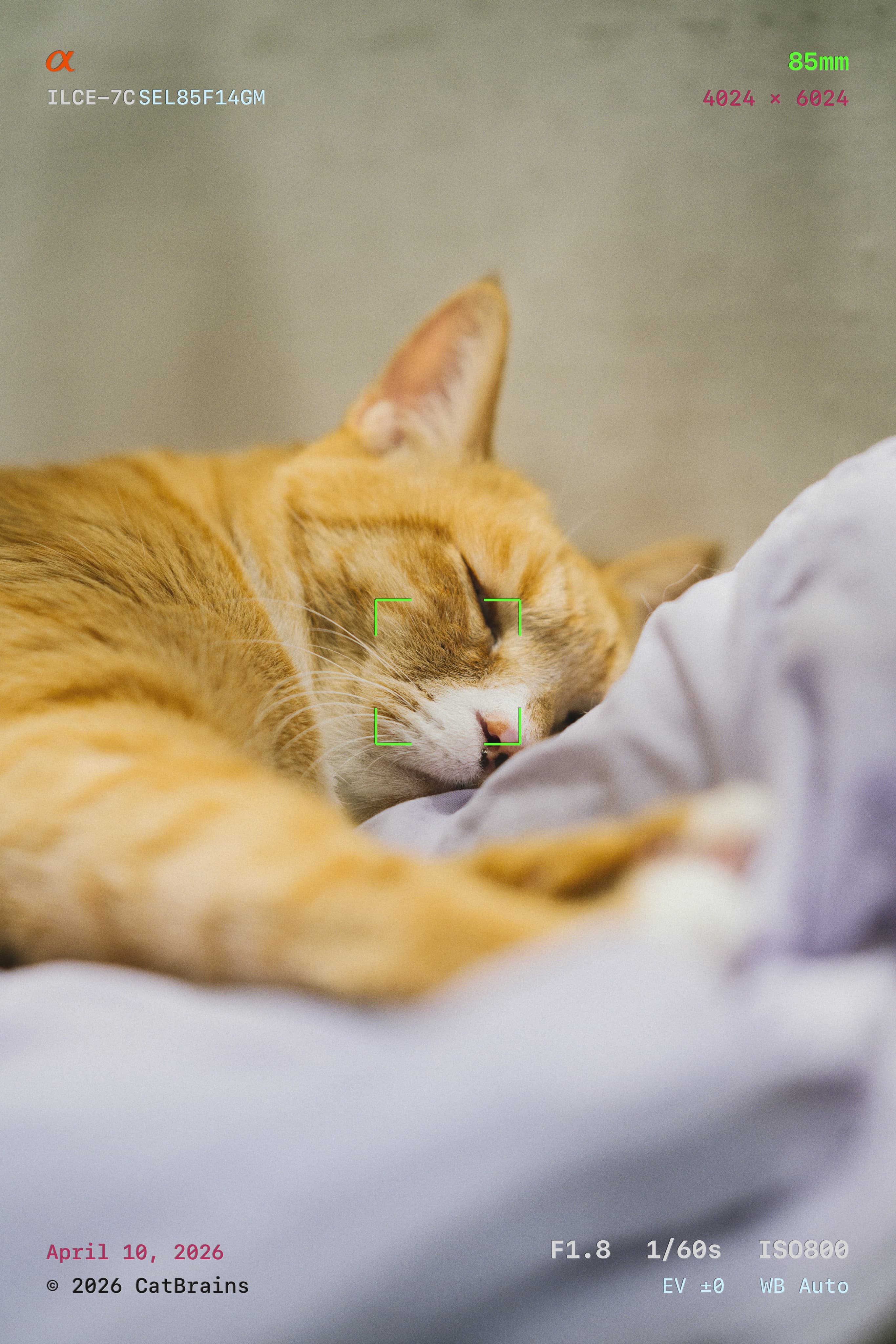 Viewfinder Mark applied to a photograph