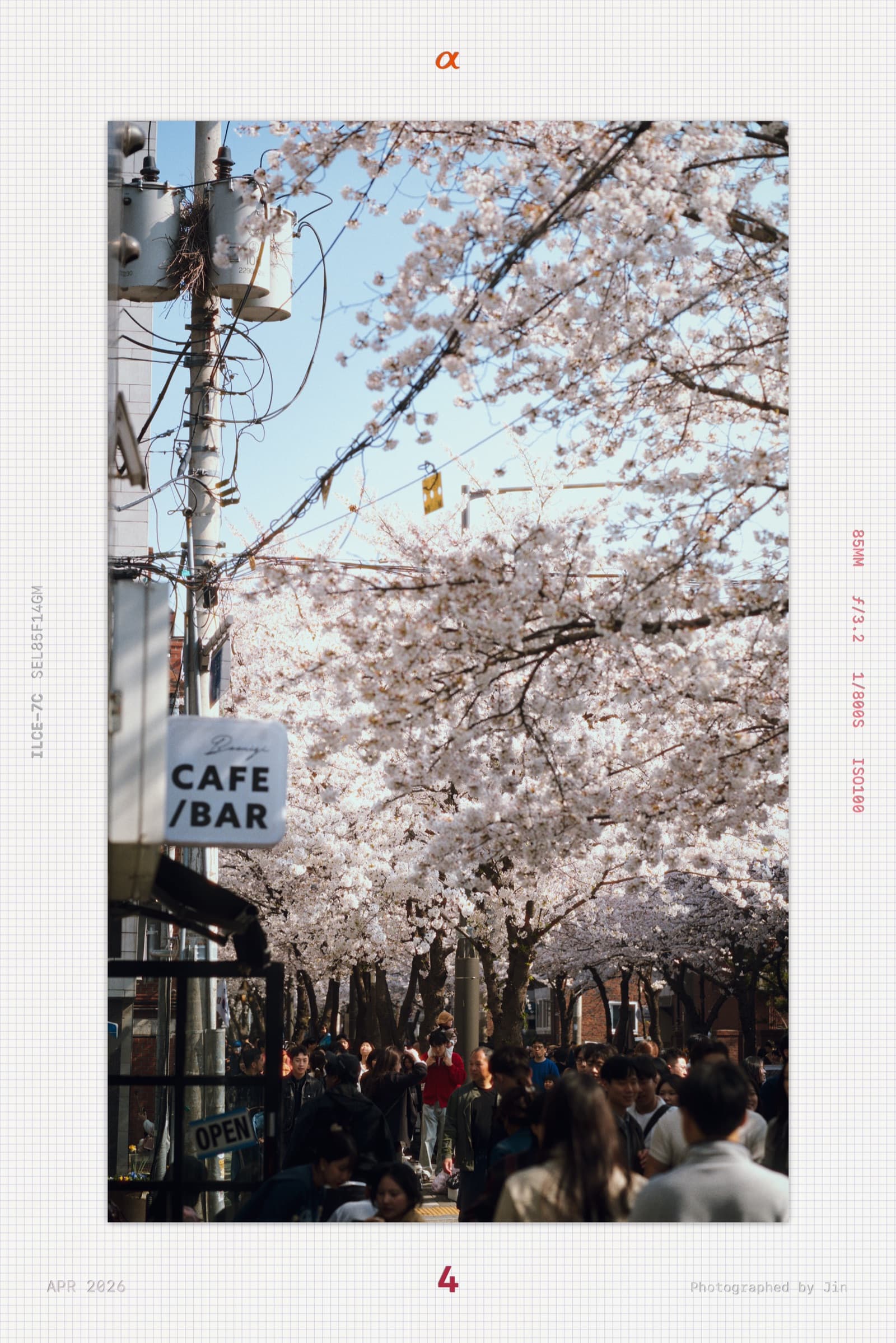 A cafe and bar sign over a small crowd, blossoms above